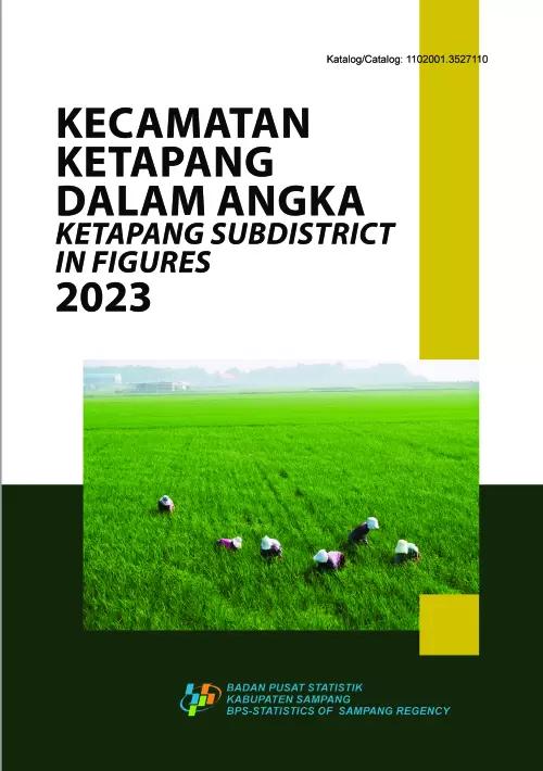 Ketapang Subdistrict in Figures 2023